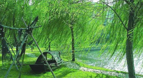 【養(yǎng)生知識(shí)】元宵入六九，春季已至，六九天的養(yǎng)生知識(shí)你知道多少？
