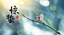 【二十四節(jié)氣灸】驚蟄節(jié)氣，艾灸喚醒抵抗力、補充陽氣的最好時機！